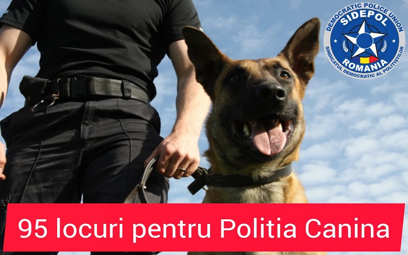 95 locuri la structurile de poliție canină